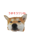 シヴァのスタンプワンね（個別スタンプ：1）