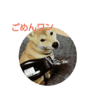 シヴァのスタンプワンね（個別スタンプ：2）