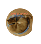 シヴァのスタンプワンね（個別スタンプ：8）