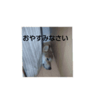シヴァのスタンプワンね（個別スタンプ：13）