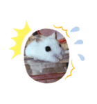 リムくんスタンプ（個別スタンプ：9）