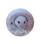 リムくんスタンプ（個別スタンプ：10）