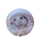 リムくんスタンプ（個別スタンプ：11）