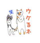 保護猫ユキと保健所猫うみ3（個別スタンプ：14）