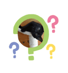 豆やん。（個別スタンプ：12）