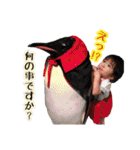 まなちゃんスタンプ☆（個別スタンプ：13）