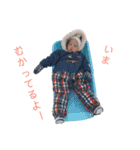 我が家のいっちゃん1（個別スタンプ：8）