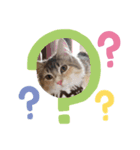メルちゃんラメちゃん2（個別スタンプ：1）