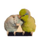 愉快なマメルリハ（個別スタンプ：17）