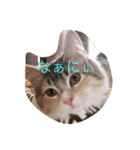 メルと愉快な仲間達（個別スタンプ：6）