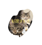 メルと愉快な仲間達（個別スタンプ：8）