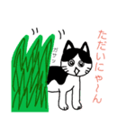 らくがき★にゃんこ（個別スタンプ：15）