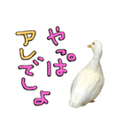イチ君と、あの頃のやつ（個別スタンプ：2）