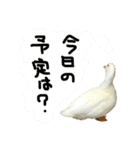 イチ君と、あの頃のやつ（個別スタンプ：4）