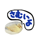 イチ君と、あの頃のやつ（個別スタンプ：11）