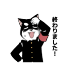 黒柴生徒会長（個別スタンプ：19）