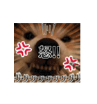 柴犬おやこスタンプ（個別スタンプ：37）