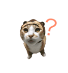おいらくんのお友達（個別スタンプ：1）