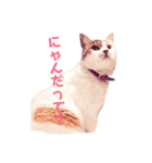 おいらくんのお友達（個別スタンプ：4）