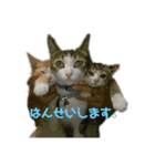 おいらくんのお友達（個別スタンプ：5）
