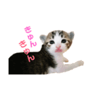 おいらくんのお友達（個別スタンプ：8）