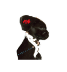 うめU´•ﻌ•`U（個別スタンプ：1）