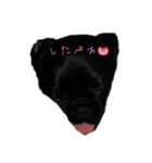うめU´•ﻌ•`U（個別スタンプ：6）