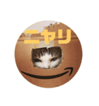 猫s Story（個別スタンプ：3）