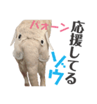 ラブラドールレトリーバー①（個別スタンプ：10）