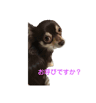 シェリの日常2（個別スタンプ：4）