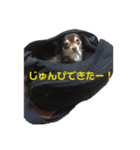 シェリの日常2（個別スタンプ：14）
