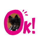 ハッピーの1日❤（個別スタンプ：7）