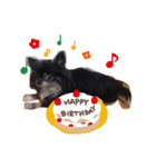 ハッピーの1日❤（個別スタンプ：9）