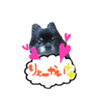 ハッピーの1日❤（個別スタンプ：11）