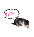 ハッピーの1日❤（個別スタンプ：16）