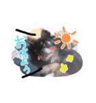 ハッピーの1日❤（個別スタンプ：18）