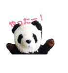 ぱんごろく（個別スタンプ：1）