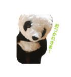 ぱんごろく（個別スタンプ：3）