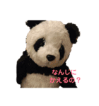 ぱんごろく（個別スタンプ：16）
