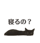 猫丸くんと切身ちゃん（個別スタンプ：10）
