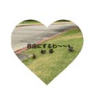 霙（個別スタンプ：3）