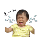 HONO First stamp（個別スタンプ：1）