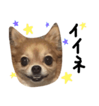 のあの日常 キ・ホ・ン（個別スタンプ：13）