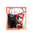 フレブル黒豆♡フレブル小麦♡  日和（個別スタンプ：7）