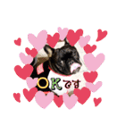 フレブル黒豆♡フレブル小麦♡  日和（個別スタンプ：8）