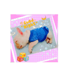 フレブル黒豆♡フレブル小麦♡  日和（個別スタンプ：13）