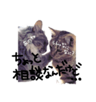 仲良し猫たちの日常（個別スタンプ：23）