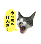 日常スタンプ くる君（個別スタンプ：6）