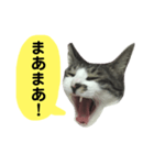 日常スタンプ くる君（個別スタンプ：10）