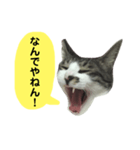 日常スタンプ くる君（個別スタンプ：24）